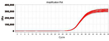 High-pressure homogenizer Test Report 8